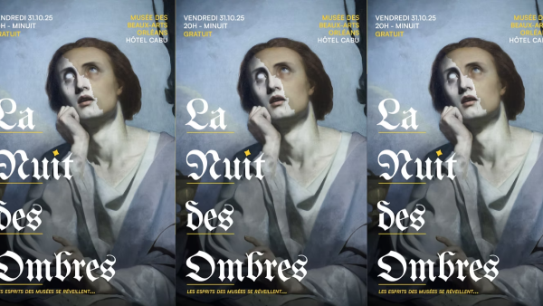 La Nuit des Ombres revient hanter le Musée des Beaux-Arts d'Orléans