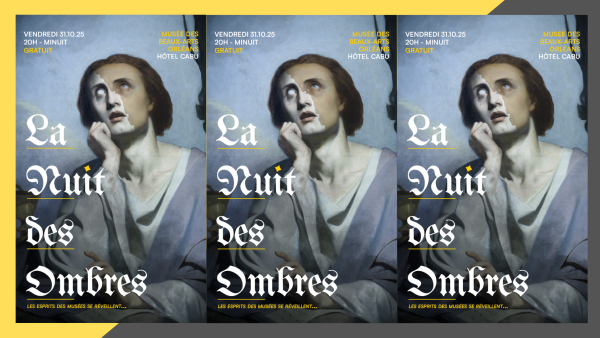La Nuit des Ombres revient hanter le Musée des Beaux-Arts d'Orléans
