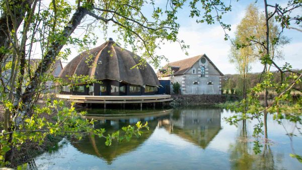 Bois des Chambres, Queneau, à Chaumont-sur-Loire
