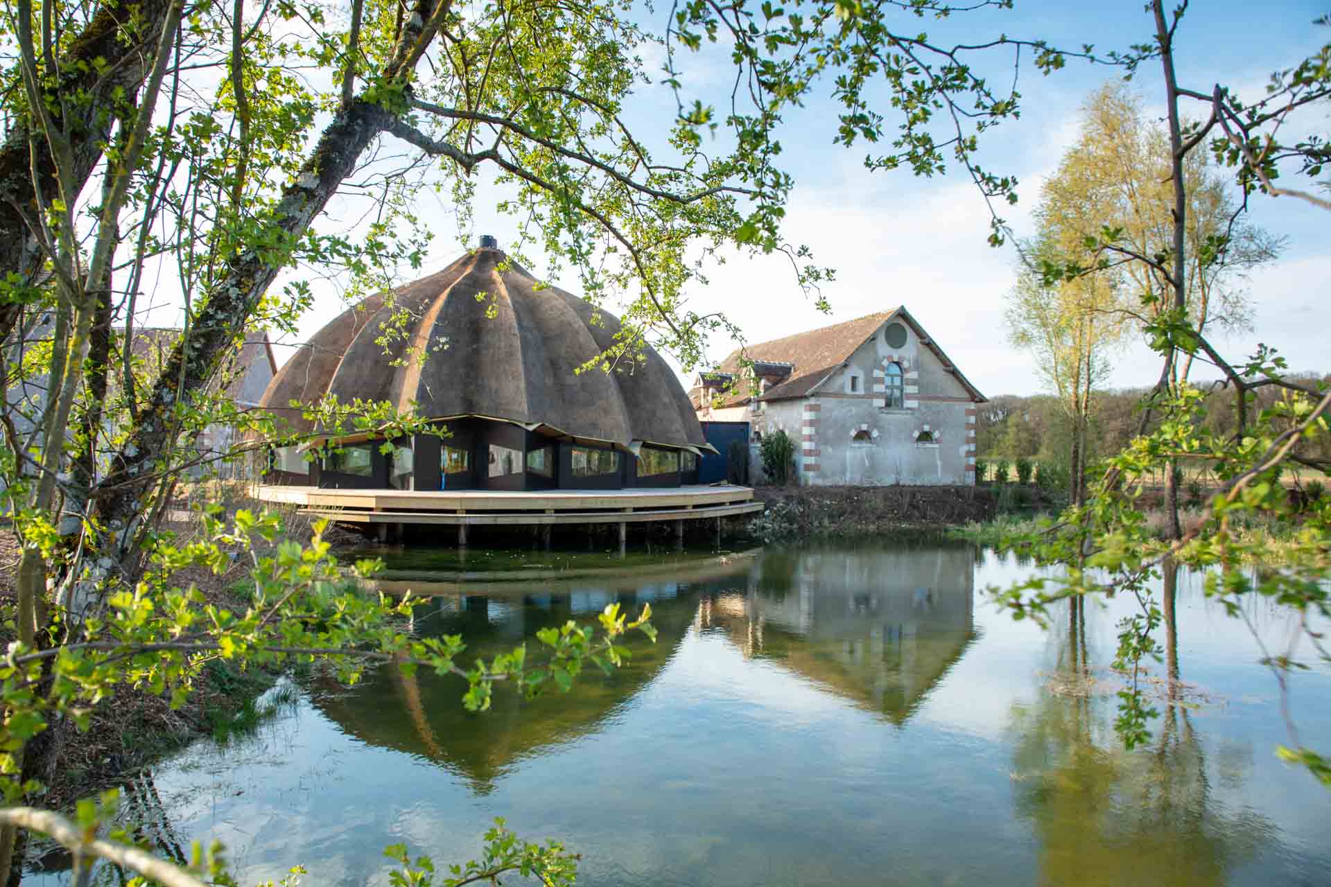 Bois des Chambres, Queneau, à Chaumont-sur-Loire