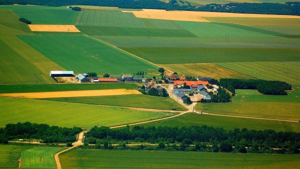 Canicule : le Crédit Agricole Centre Loire présente ses solutions d'accompagnement pour les agriculteurs